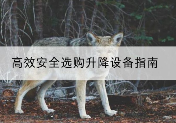 青浦区升降货梯厂家推荐-*安全选购升降设备指南