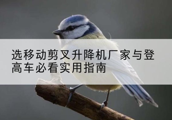 青浦区电动升降机厂家-选移动剪叉升降机厂家与登高车必看实用指南